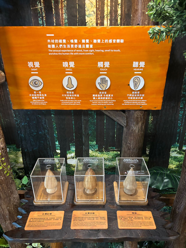 出國前最後一站也能充滿森林療癒🍃桃園機場「木育森林候機室」