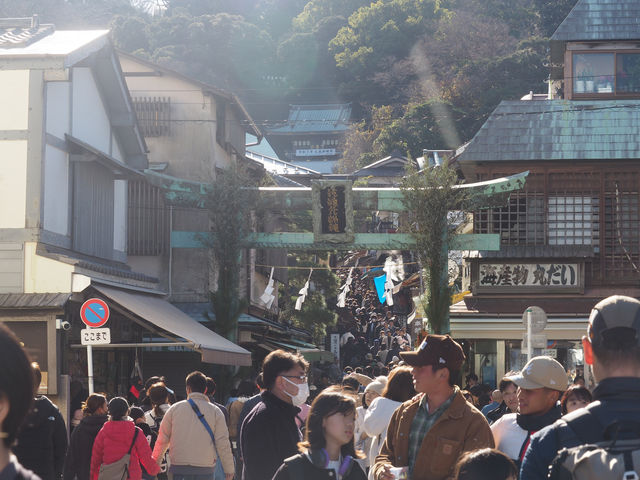 Kamakura, Enoshima & a Glimpse of Mt. Fuji  Kamakura, Enoshima & a Glimpse of Mt. Fuji