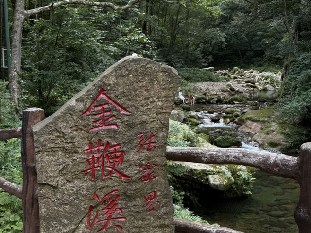 🍃 Zhangjiajie National Forest Park: A Breath of Fresh Air! ⛰️