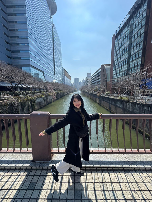 🇯🇵 Meguro River  🇯🇵 Meguro River