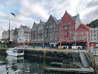 Discovering the Scenic Beauty of Bergen City