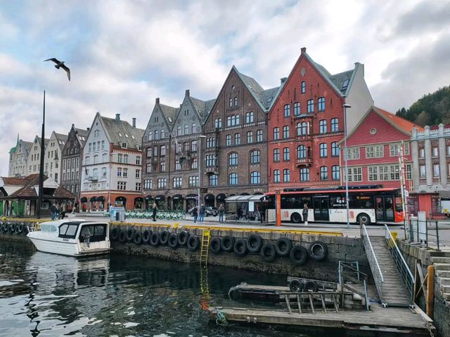 Discovering the Scenic Beauty of Bergen City Discovering the Scenic Beauty of Bergen City