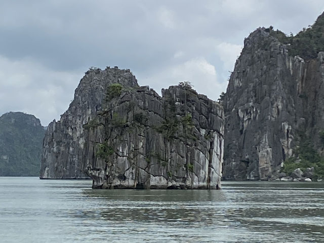 笑顔と感動のハロン湾クルーズ