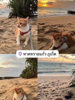 หาดทรายแก้ว