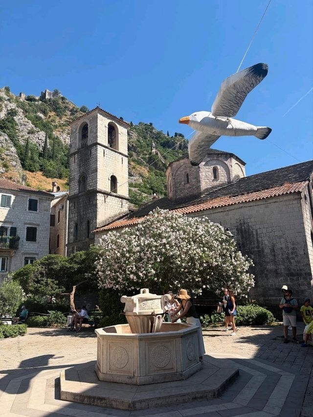 Wandering Through the Timeless Beauty of Kotor