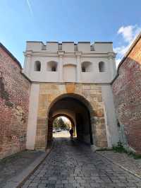 Historic Charm and Vibrant Streets in Praha