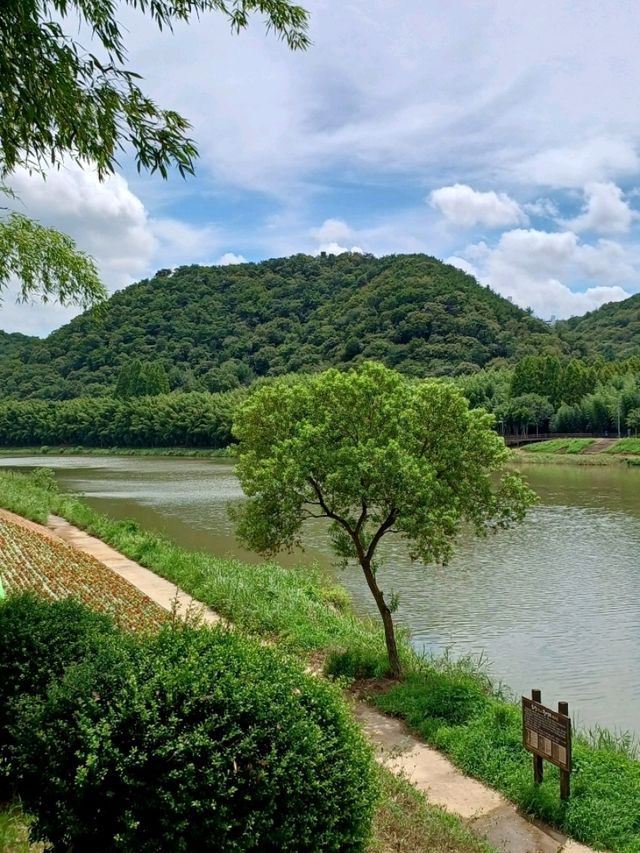 꽃길 따라 걷는 힐링 산책 🌸