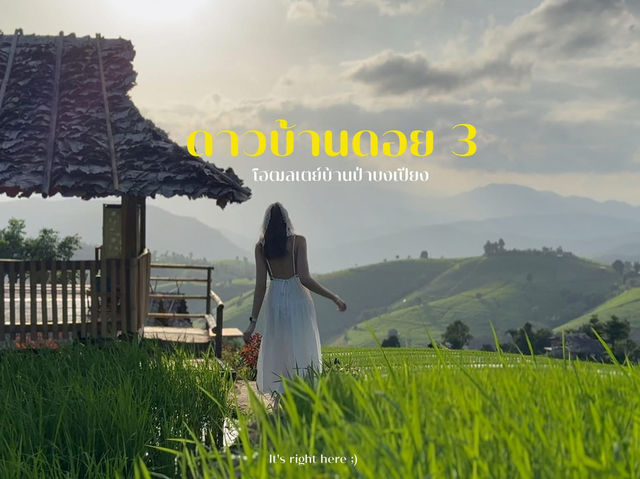 ดาวบ้านดอย โฮมสเตย์ป่าบงเปียง 💚🌾