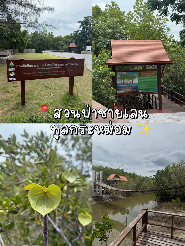 สวนป่าชายเลนทูลกระหม่อม