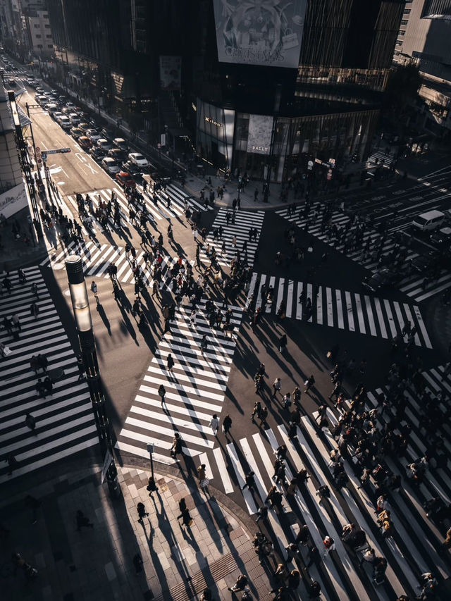 Tokyo is full of picture-perfect moments