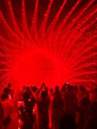 도쿄 아자부다이 힐즈 ✨ teamLab Borderless + Limelight 🍽️