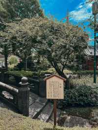 วัดดัง ที่เซียมซีแม่นสุดๆฮะ Sensoji temple