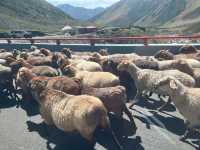 新疆伊犁獨庫公路