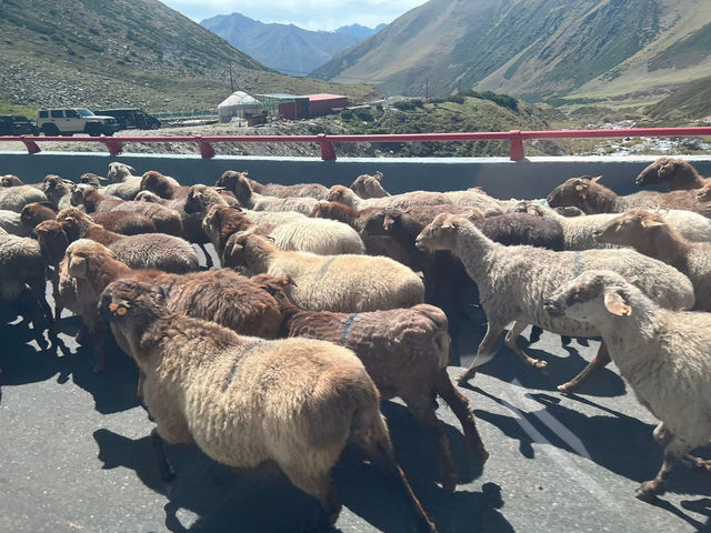 新疆伊犁獨庫公路