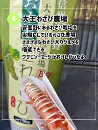 【長野の自然に癒され旅🌿】長野で絶対行きたい場所