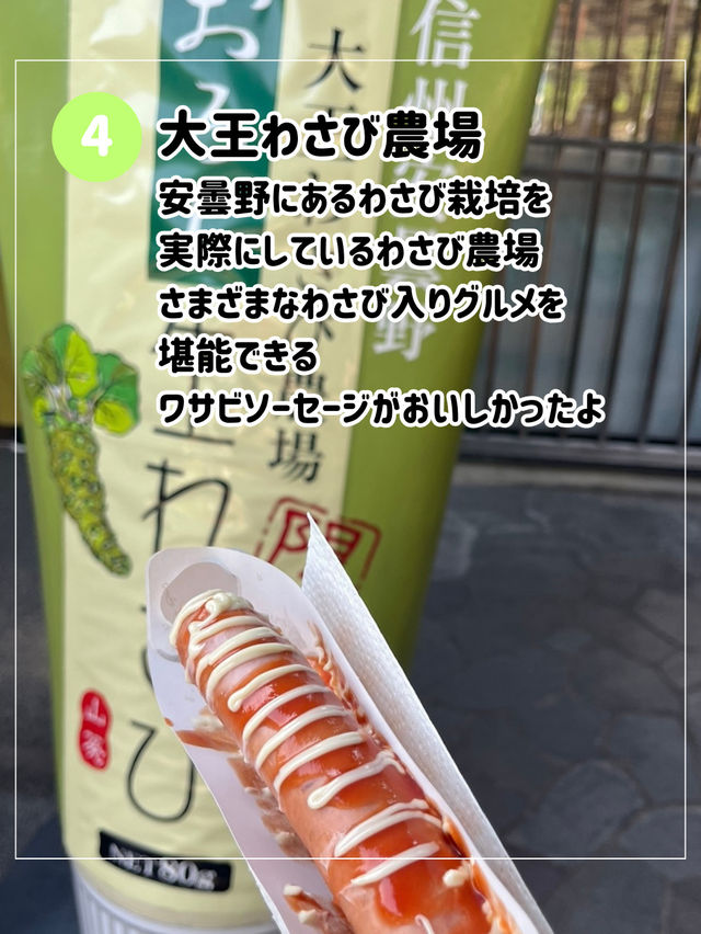 【長野の自然に癒され旅🌿】長野で絶対行きたい場所