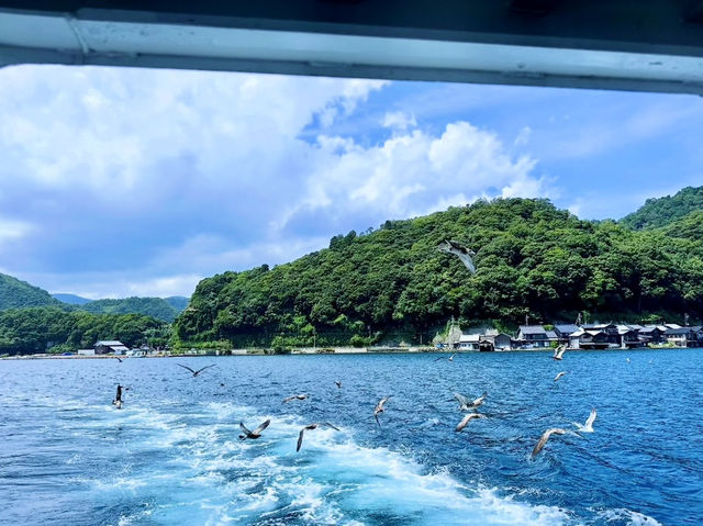 Ine Bay Kyoto 🇯🇵 สวยย So จึ้งใจมากกก 🩵