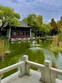 🏯 수원, 역사와 감성의 도시 🌿