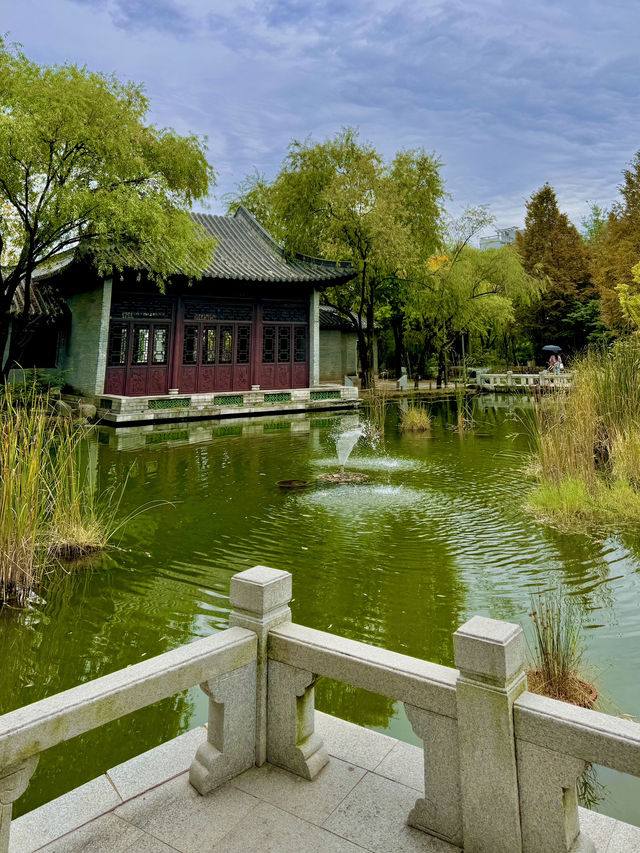 🏯 수원, 역사와 감성의 도시 🌿