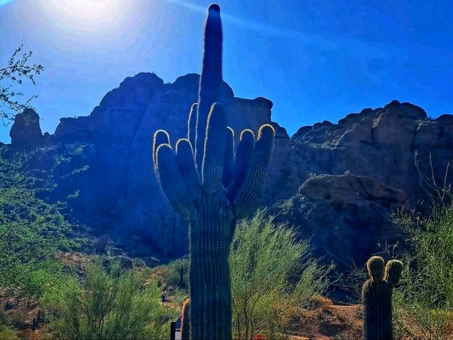 🏞️ Camelback Mountain – Phoenix’s Iconic Summit 🇺🇸