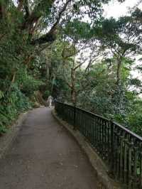 🍃 Peak Trail ที่อยู่บน Victoria Peak (The Peak)