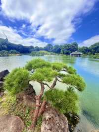 東京｜東京最美的清澄庭園 三菱創辦人的插柳成蔭