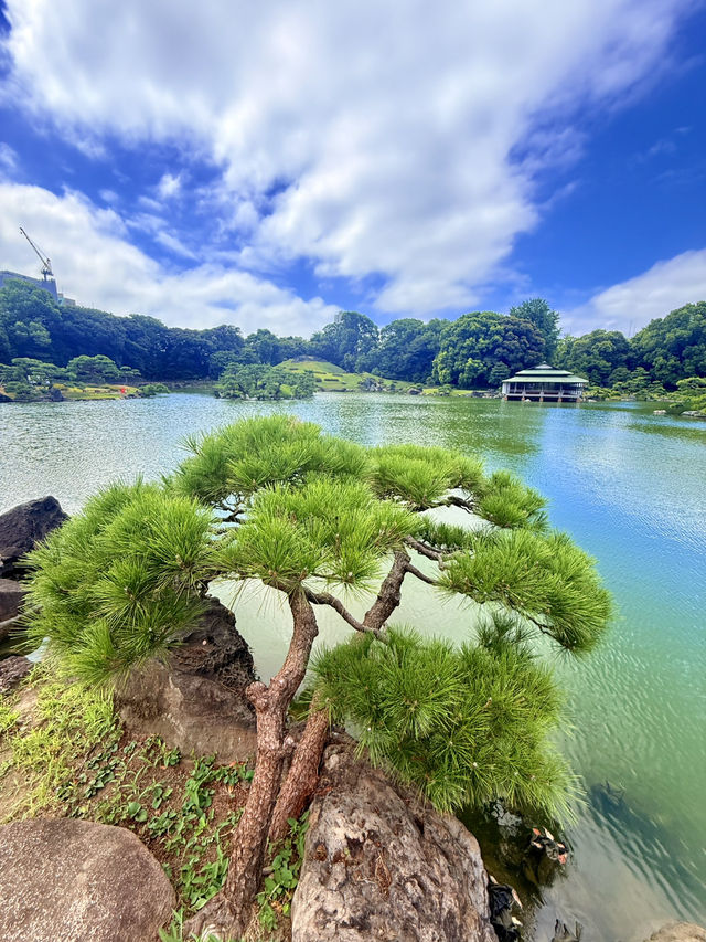 東京｜東京最美的清澄庭園 三菱創辦人的插柳成蔭