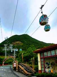 Joy in Motion: A Day at Ocean Park