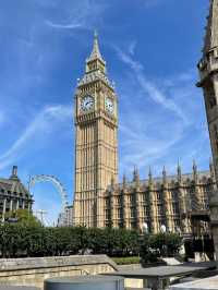 Nature Meets City🌳