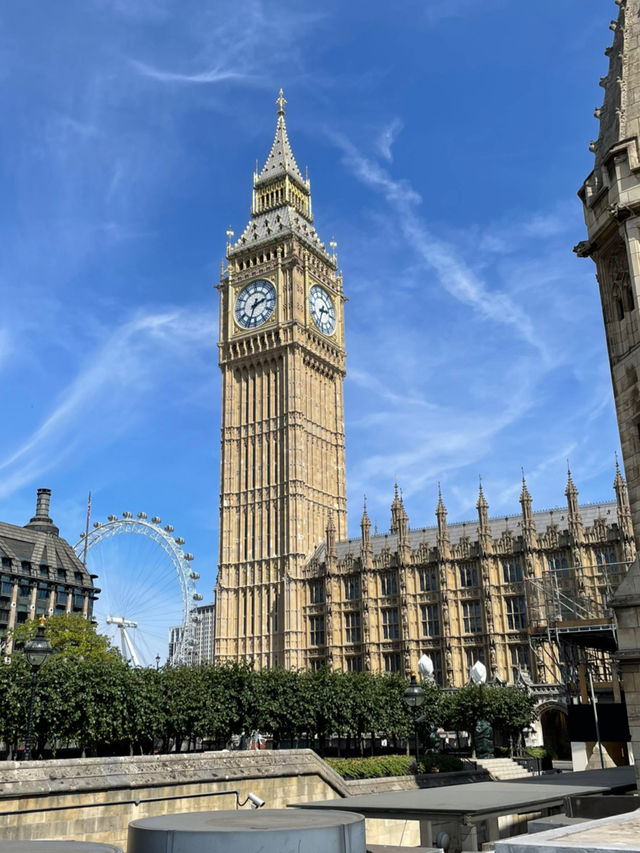 Nature Meets City🌳