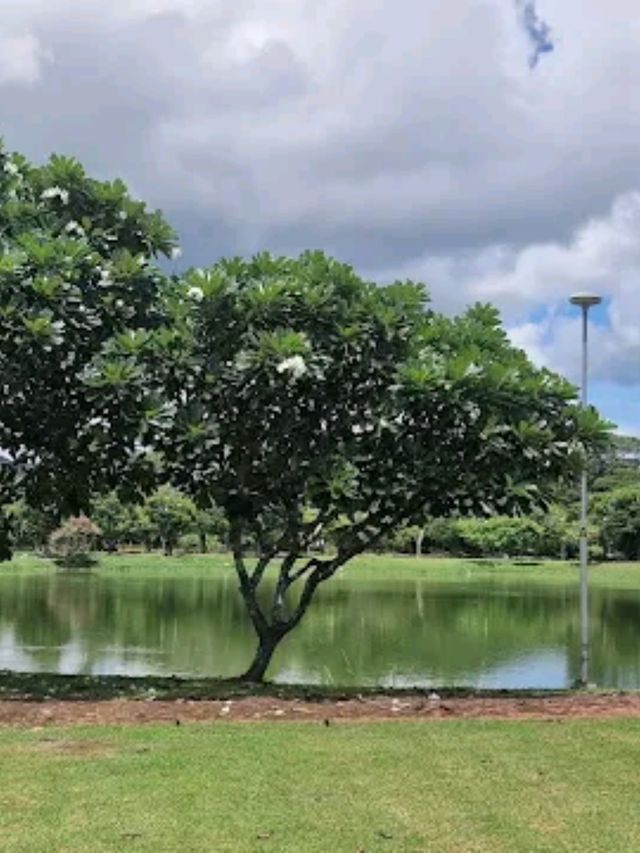 วัดสระศรี - วัดตั้งอยู่กลางสระน้ำ