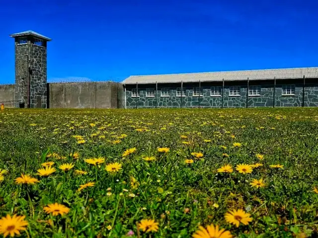 🏝️ Robben Island – A Journey Through History 🏛️