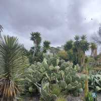 Auckland Botanic Gardens