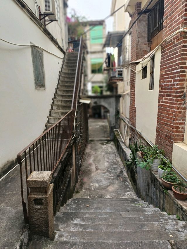 廈門至鼓浪嶼VIP船票服務