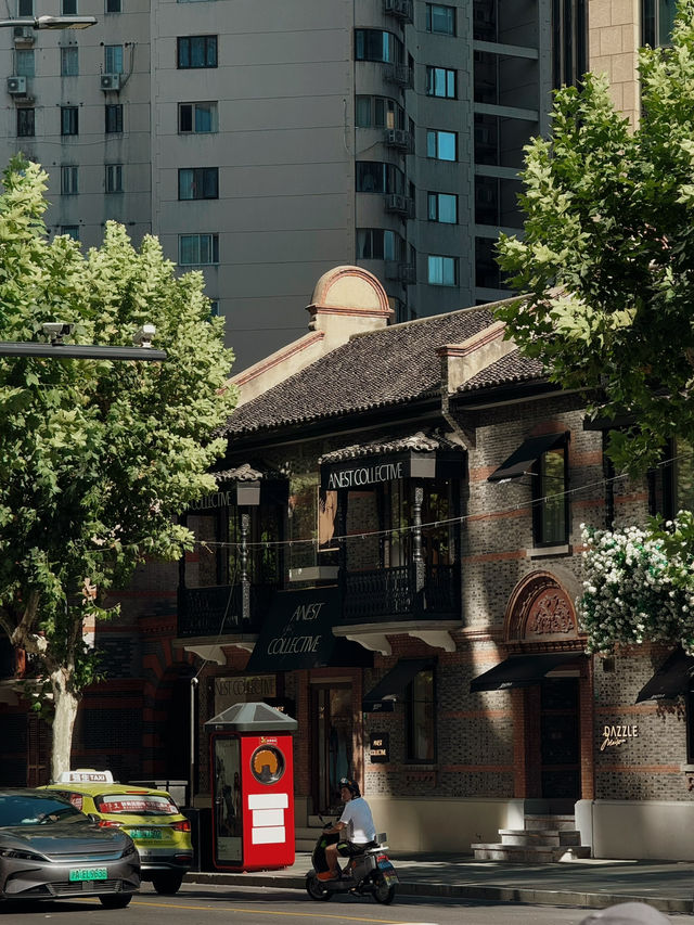 🏮 Chill Citywalks & Iconic Streets: Shanghai’s Dreamy Mix of Old-School Vibes & Skyline Magic ✨