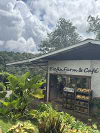🇹🇭不騎大象也能裝可愛「Elefin Farm & Cafe」