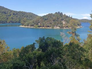 เอ็มแอลเจ็ต