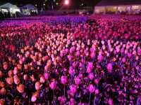 🌹Floriade Nightfest🌹