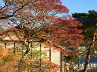 【奥日光】🍁紅葉シーズンに訪れたい絶景スポット