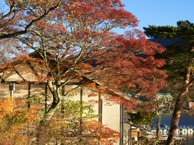 【奥日光】🍁紅葉シーズンに訪れたい絶景スポット