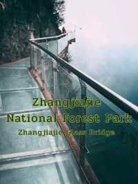 Zhangjiajie National Forest Park