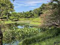the Imperial Palace East Gardens