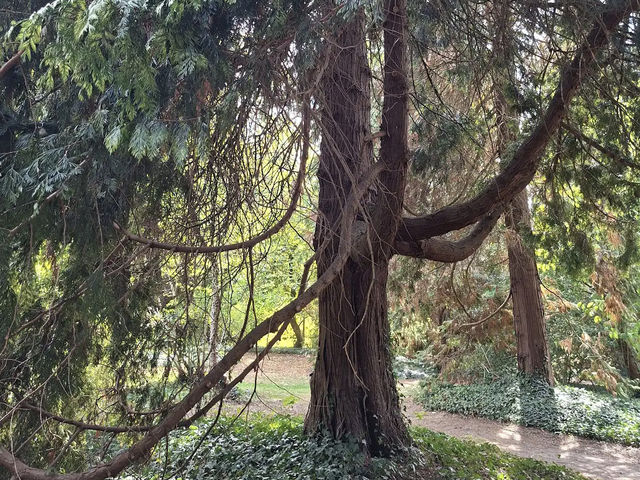 Arboretum Kalmthout