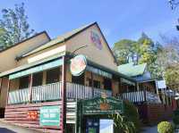 🌄 Mount Dandenong Observatory & Pie In The Sky — A Scenic Escape Above the Clouds