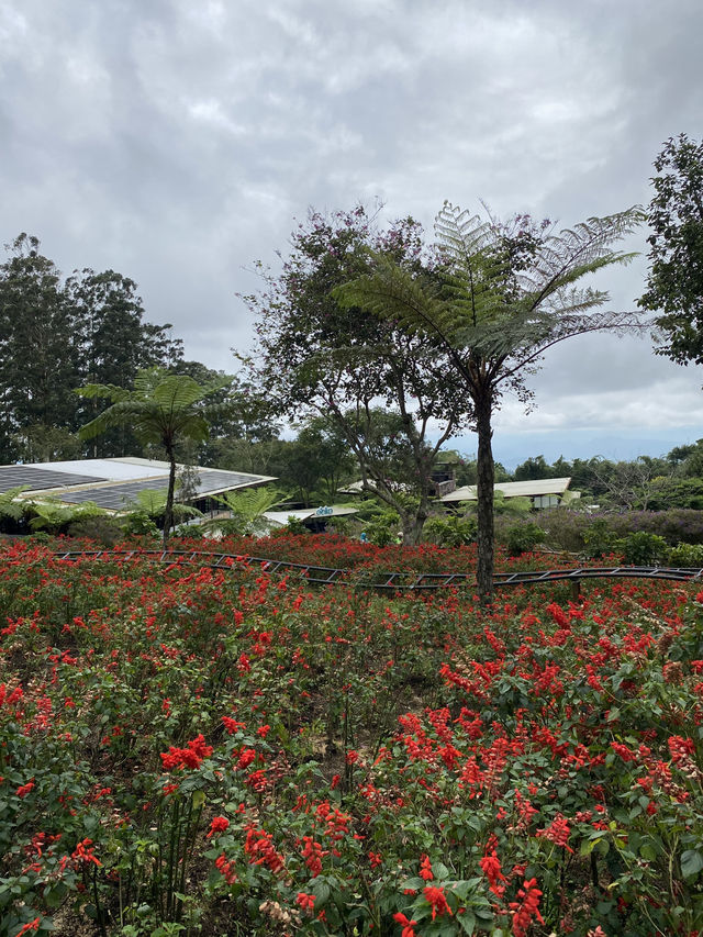 Dusun Bambu - Lembang 