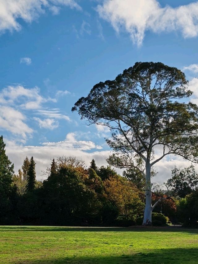 Hamilton Gardens: A Journey Through Time in a Garden