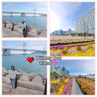 釜山🇰🇷廣安大橋🌁海濱咖啡街～花海片片
