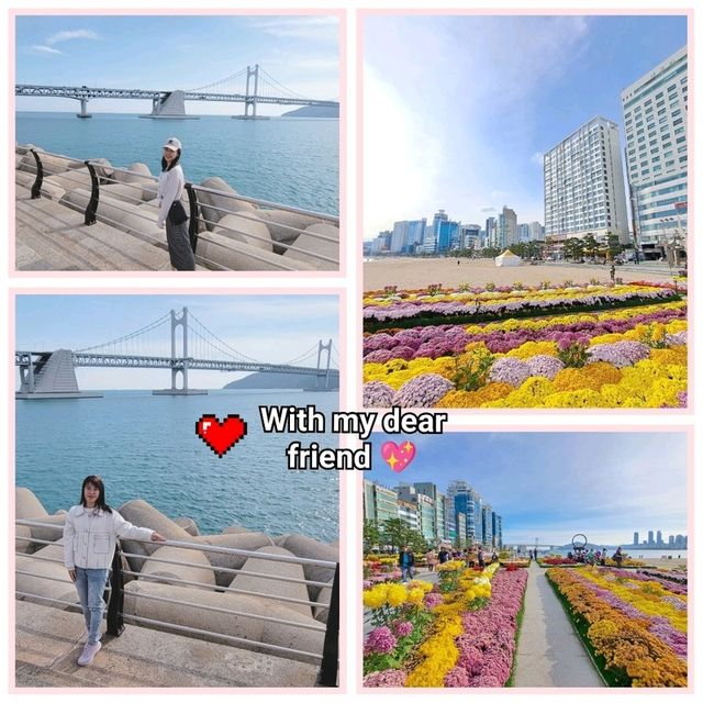 釜山🇰🇷廣安大橋🌁海濱咖啡街～花海片片