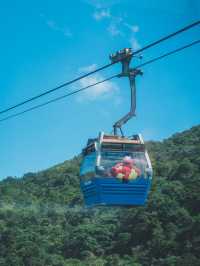 🌟【五大IP空降昂坪!纜車半價打卡攻略】🚡