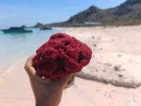 Komodo Wonders🌿 One Day Trip